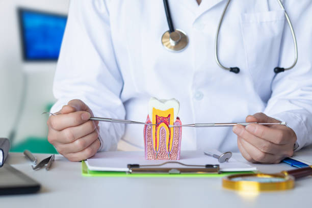 Best Emergency Gum Treatment in Park Forest, IL